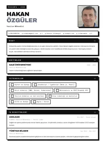 Yazılım Mühendisi Cv Örnekleri cv indir